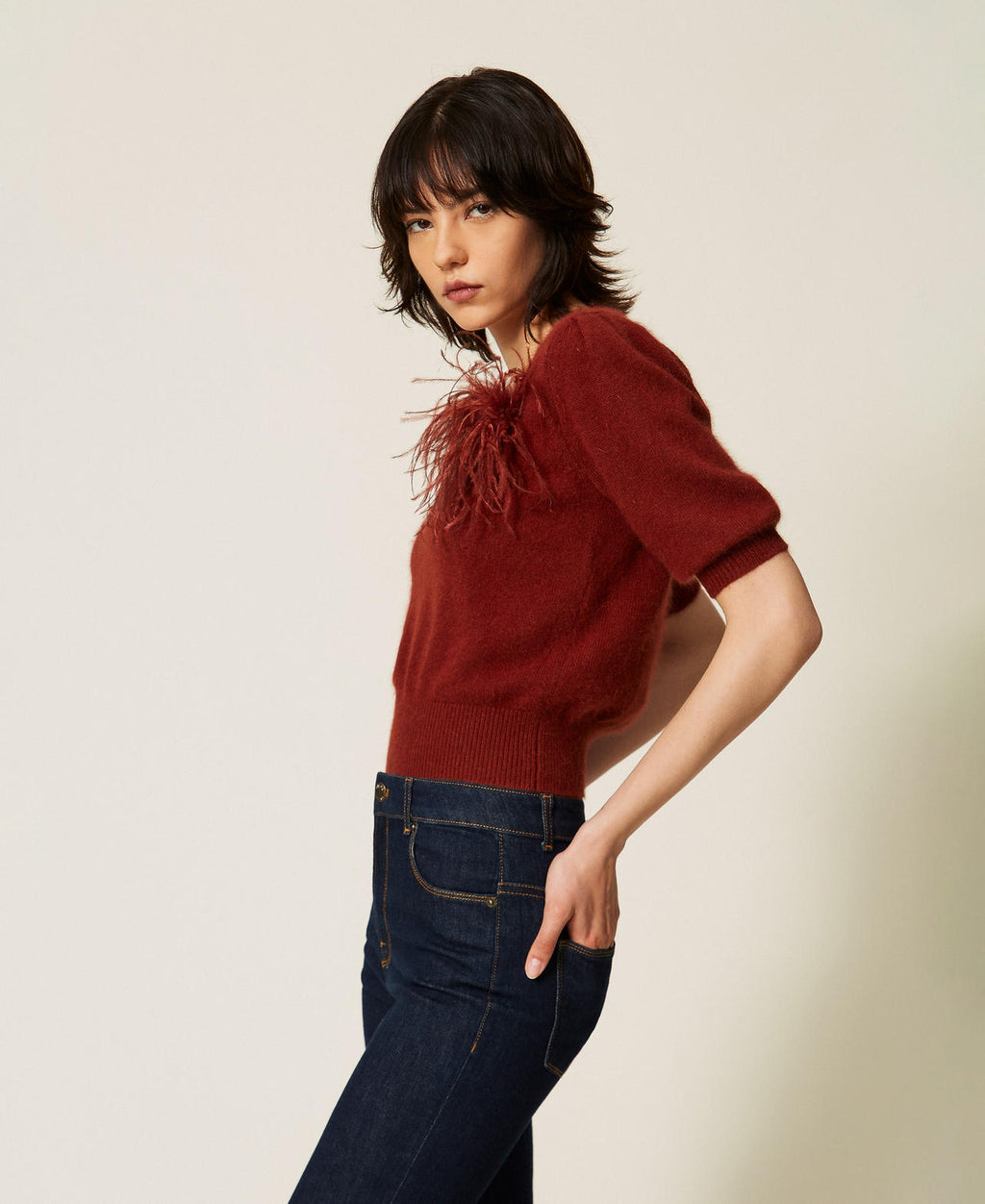 Twinset 262TP3260 - Maglia in misto angora con spilla
