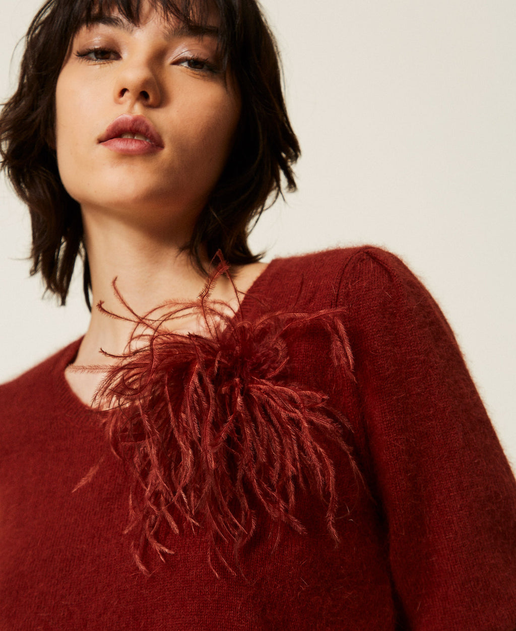 Twinset 262TP3260 - Maglia in misto angora con spilla