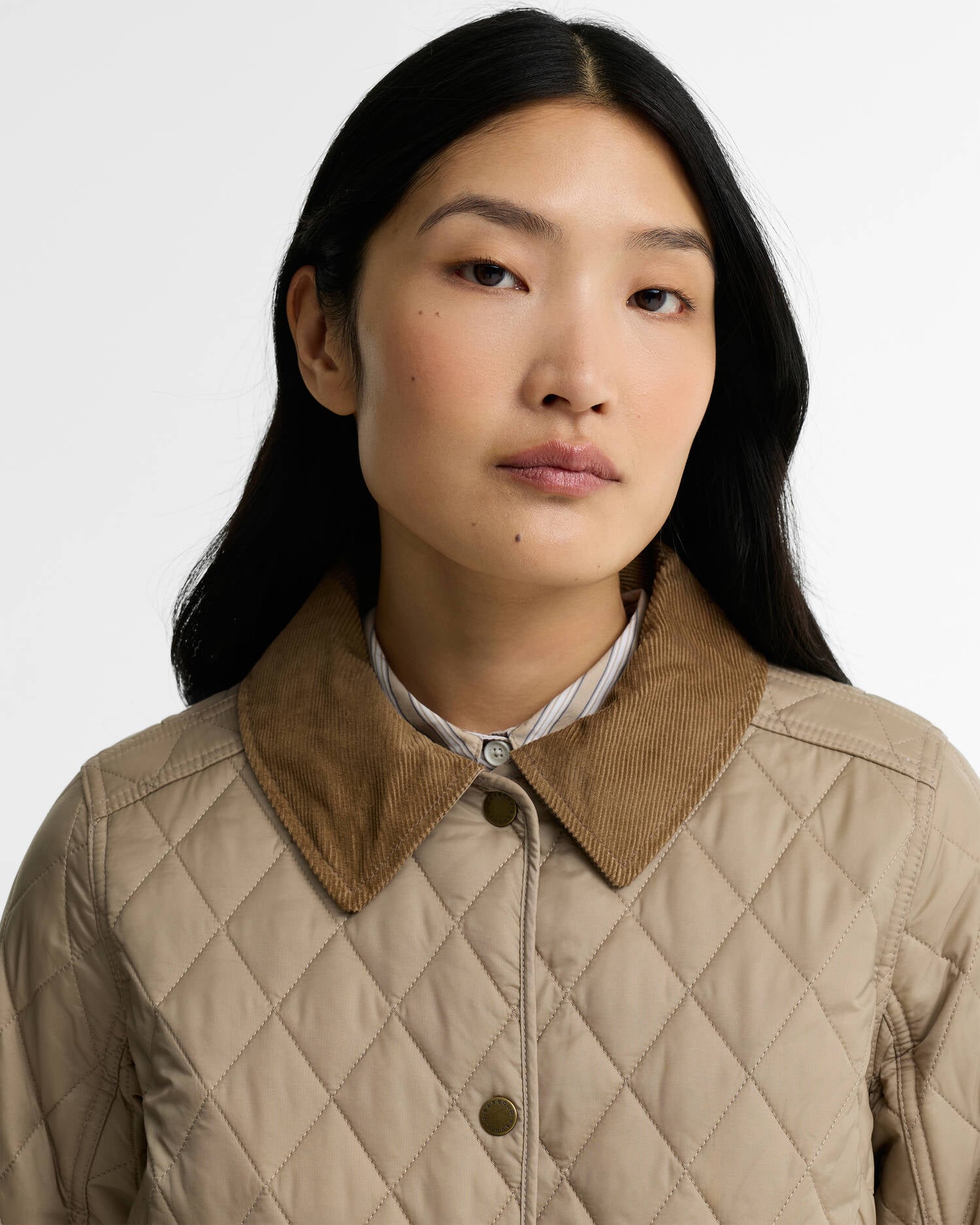 Barbour ANNANDALE - Giacca trapuntata